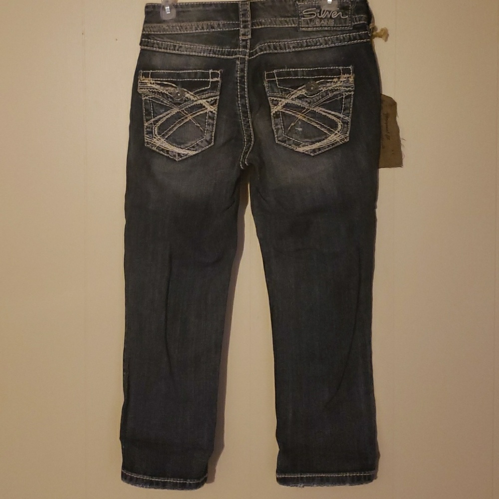 Silver Capri - image 2